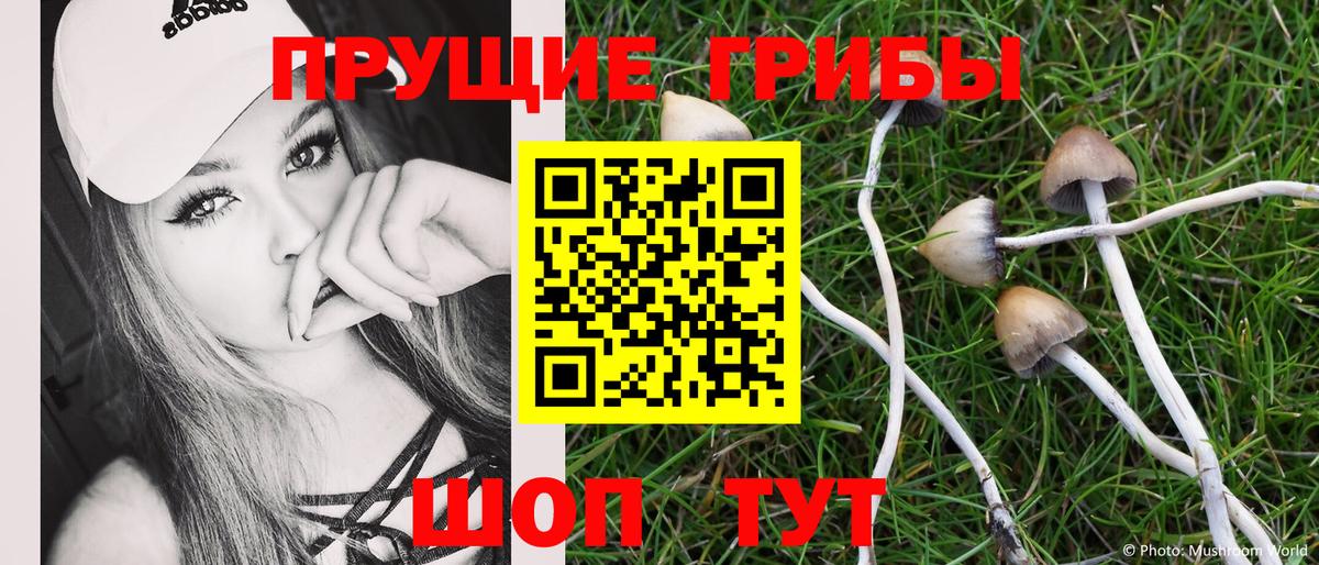 Казань  наркота  Вход с VPN  Псилоцибиновые грибы Psilocybine cubensis  Галлюциногенные грибы MAGIC MUSHROOMS 